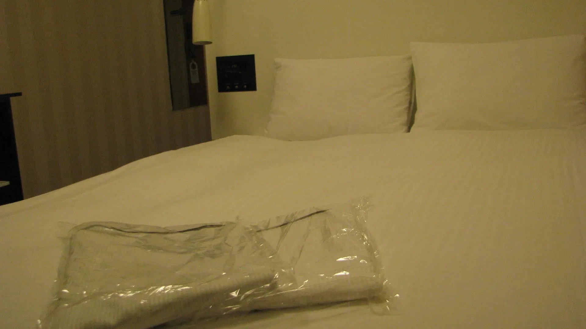 Hotel Villa Fontaine Tokyo-Otemachi
